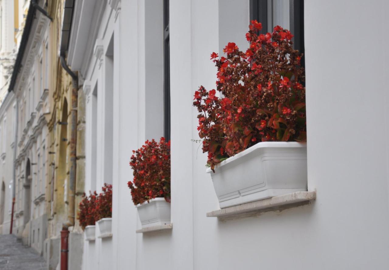 Central Vendeghaz Szekesfehervar Exterior photo